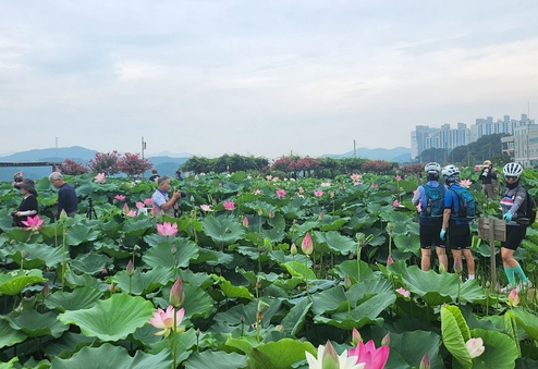 사진출처=시흥시