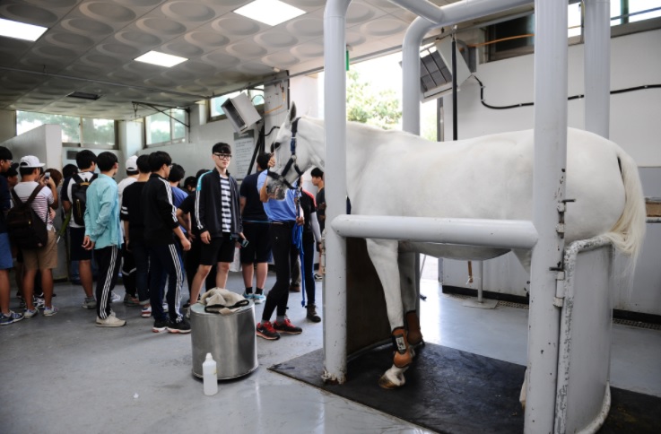 사진출처=한국마사회 제공