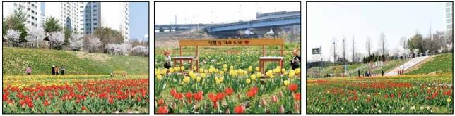 사진출처=파주시 -749-5769.jpg