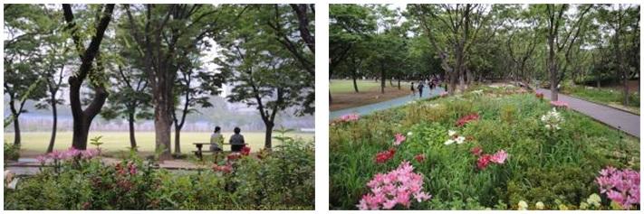 보라매공원 보라매공원.jpg